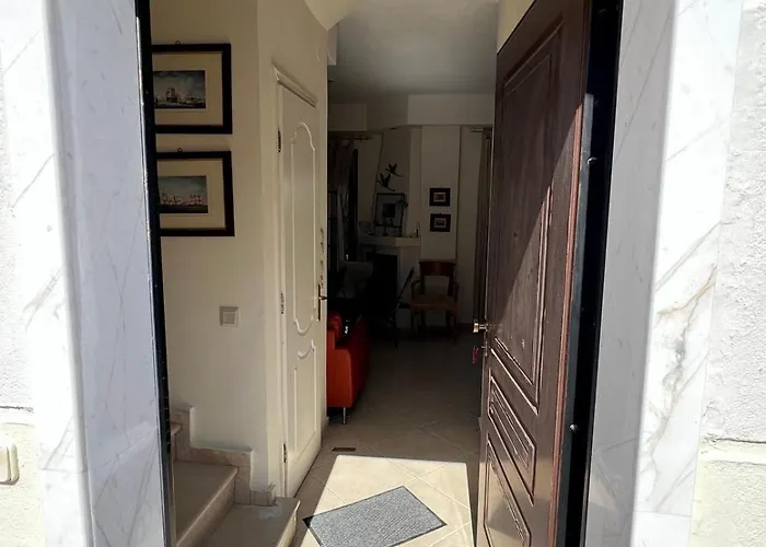 Pelekan And Athina 40 Pefkochori